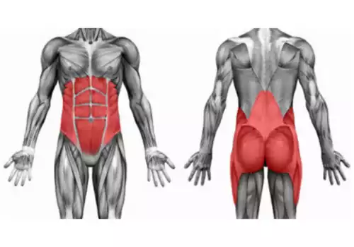 Read more about the article MOTION IN THE CENTRE OF THE BODY HAS TO BE EFFICIENT
