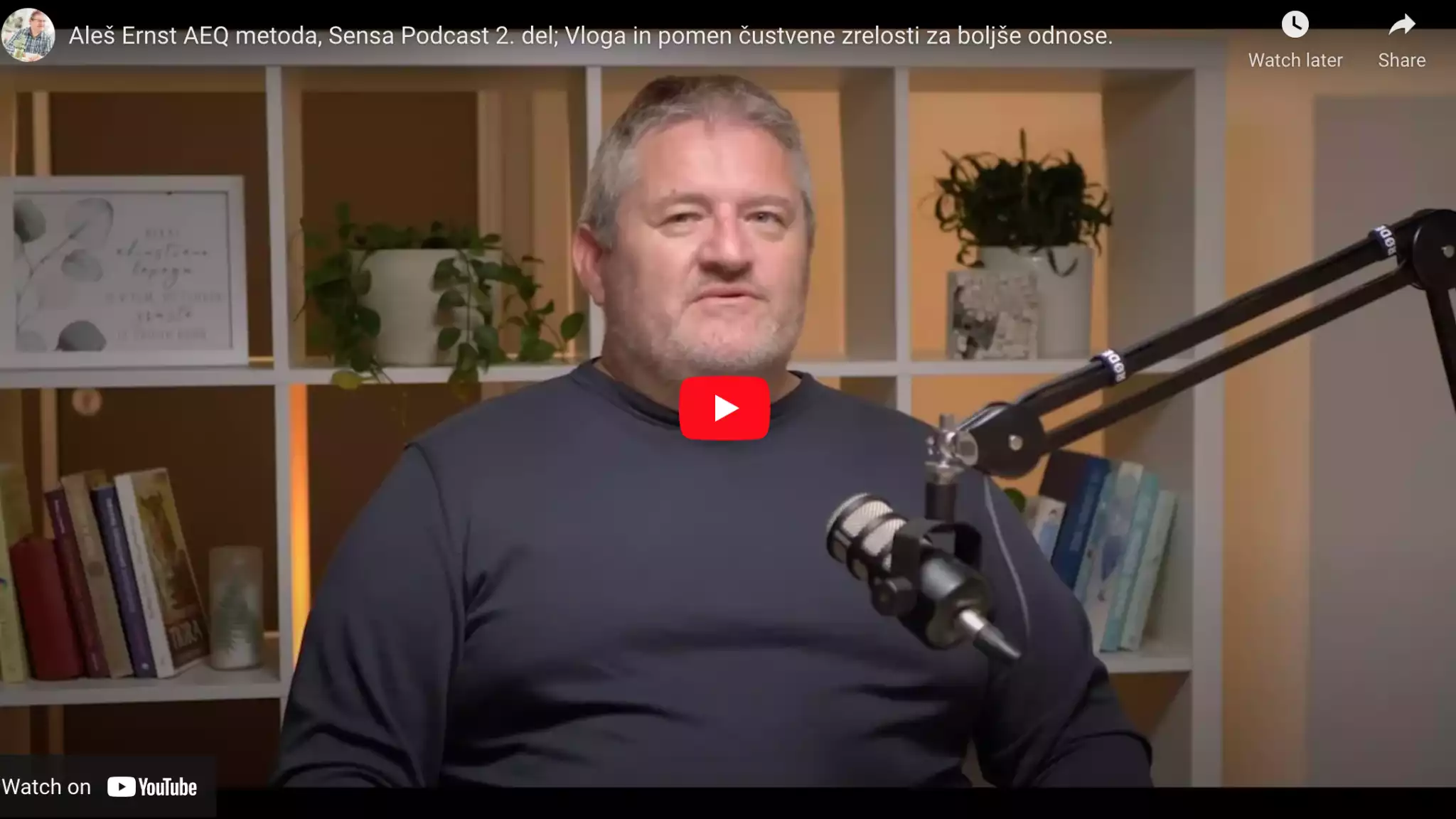 Read more about the article Aleš Ernst – The role and importance of emotional maturity for better relationships – Sensa Podcast 2. part (English subtitles)