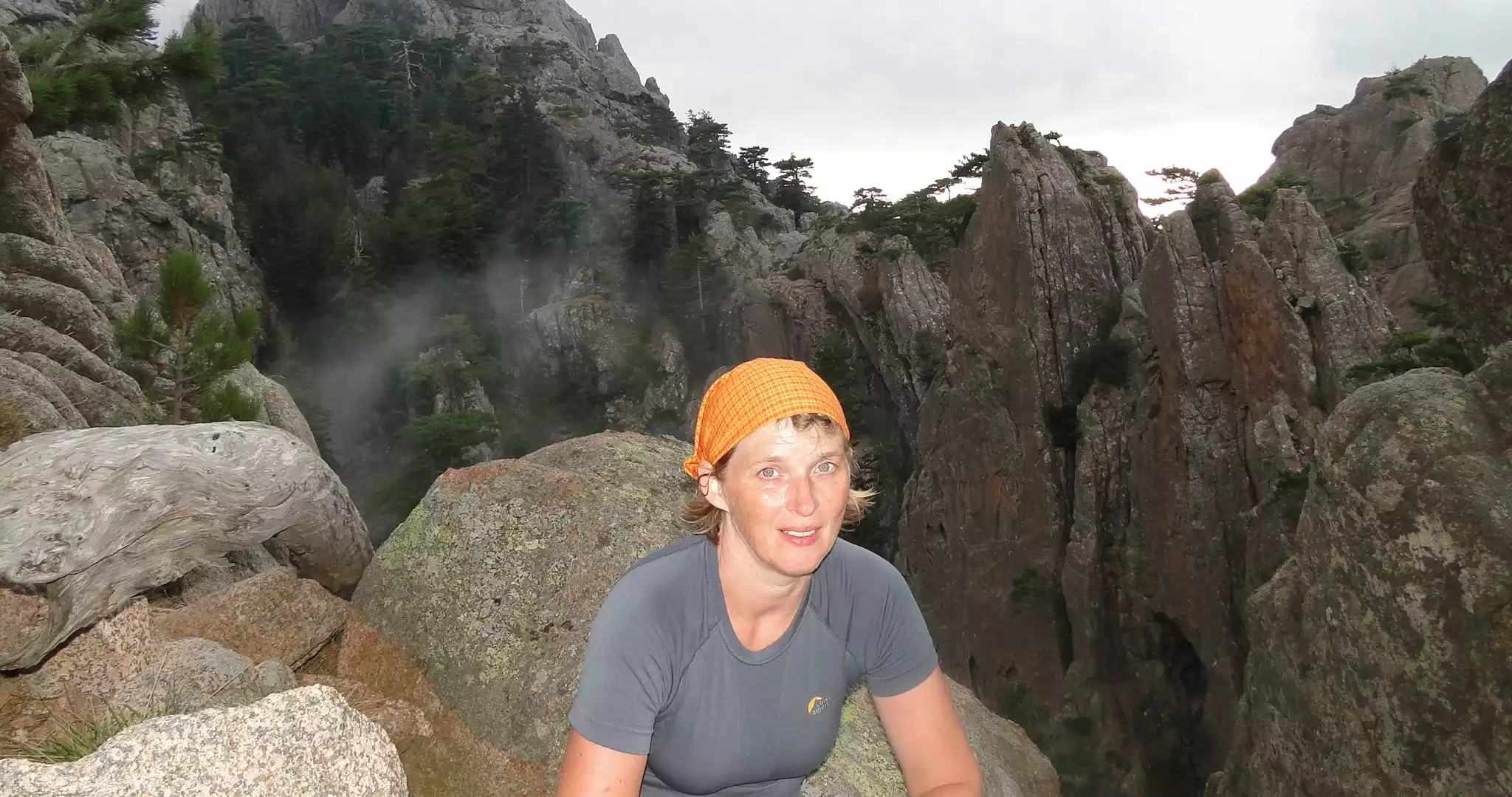 Read more about the article All of the steps that I have taken with the support of AEQ exercises have taken me in the desired direction.