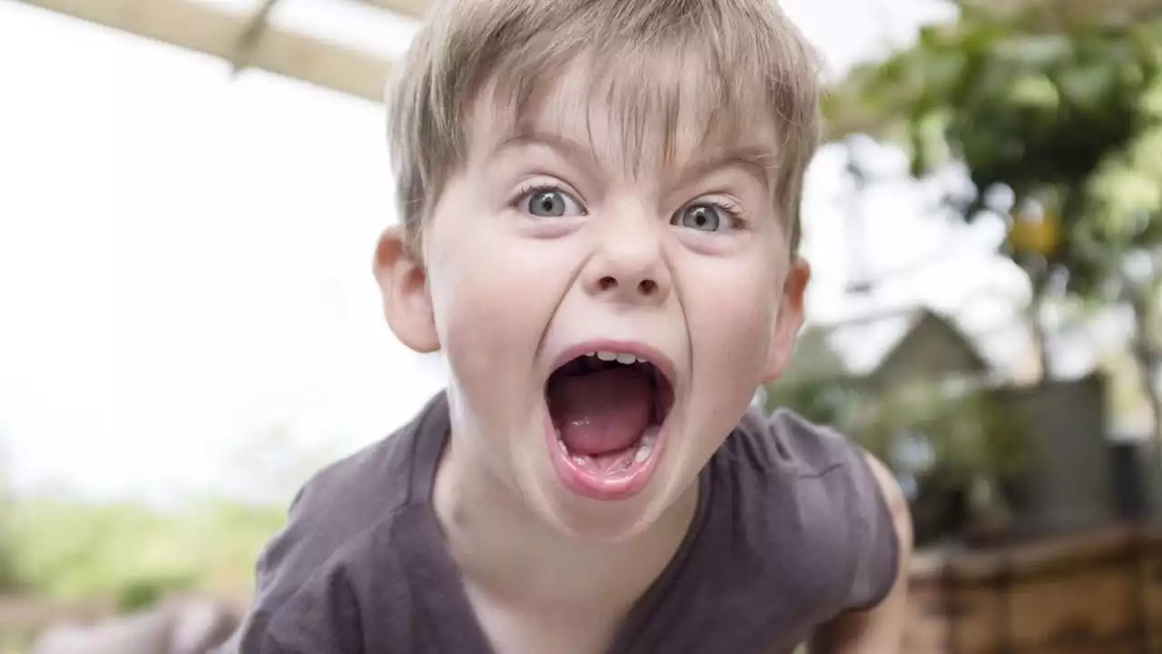 Read more about the article Q&A – Helplessness to calm the child (English subs)