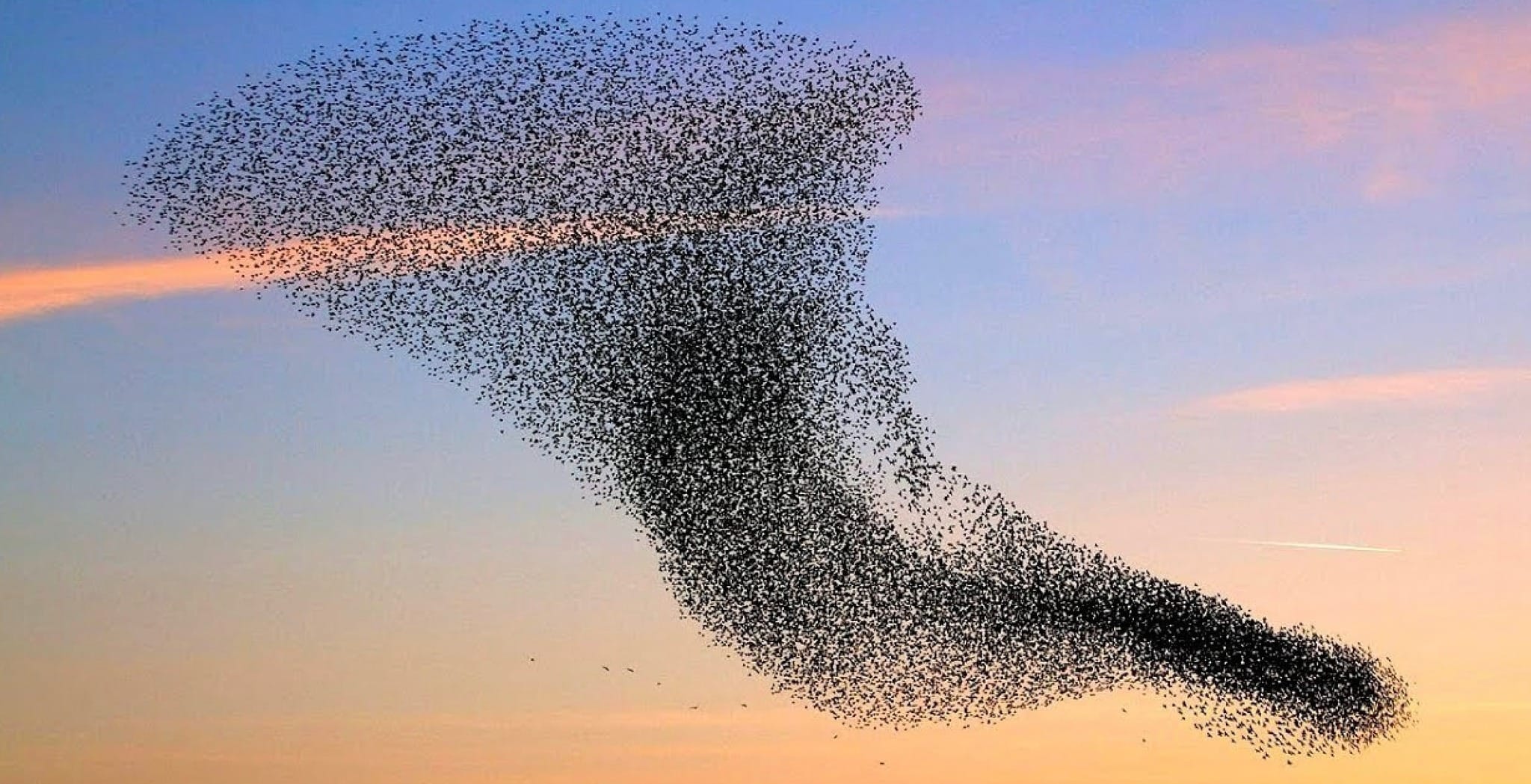 Read more about the article The Dynamics of Decay and Order: A Mirror of Two Truths and the Power of Silent Presence