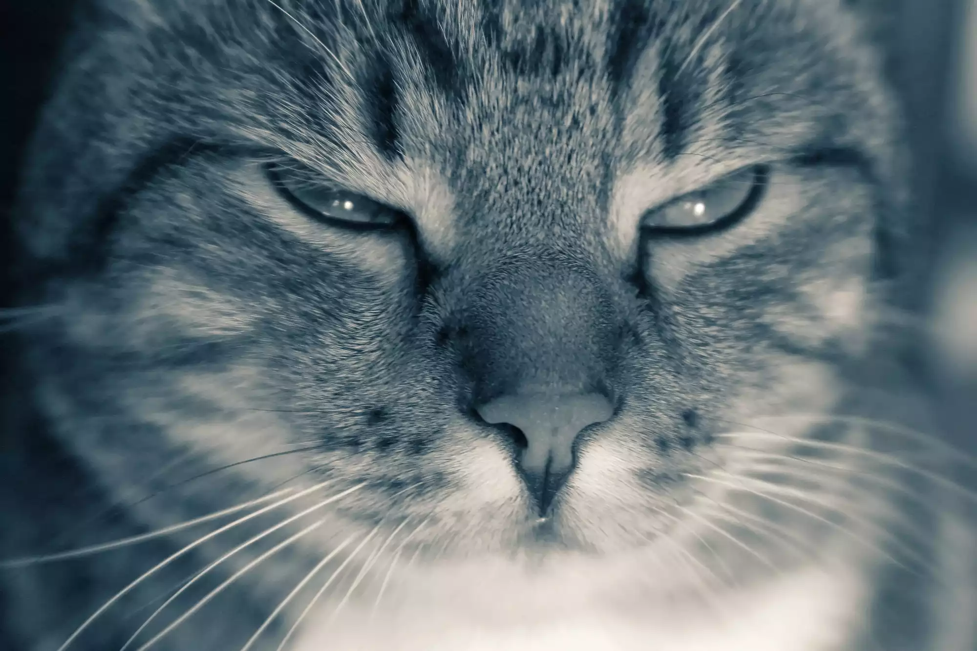 Read more about the article Why Someone Is “Angry at the Whole World”